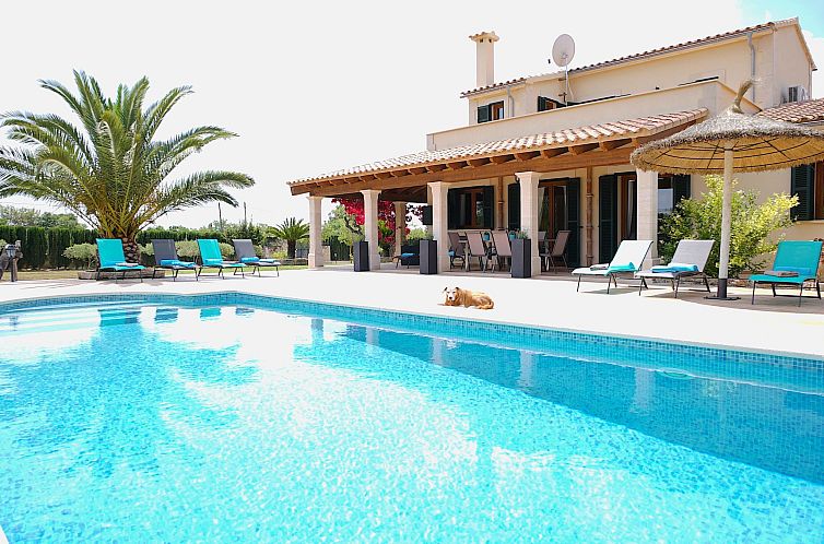 Verblijf 1608314 - Vakantiewoning Mallorca - Vakantiehuis Nettes Ferienhaus in Llucmajor mit Großer Terr