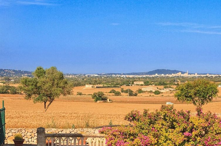 Vakantiehuis Albadallet