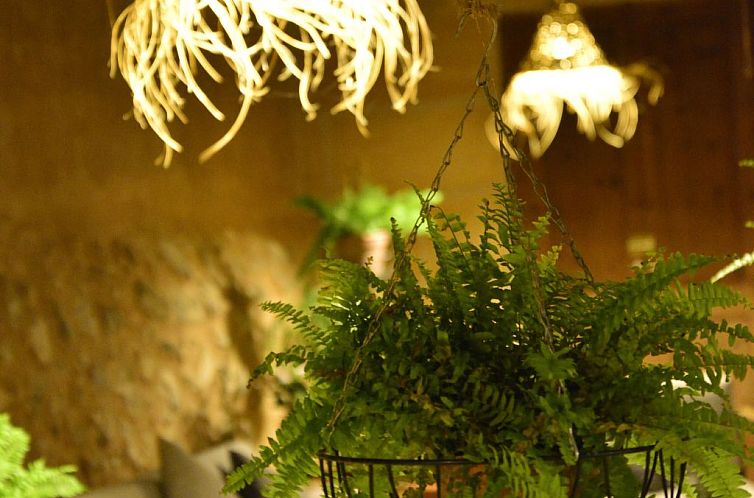 Vakantiehuis Jedes Ferienhaus mit Garten und Schwimmbad