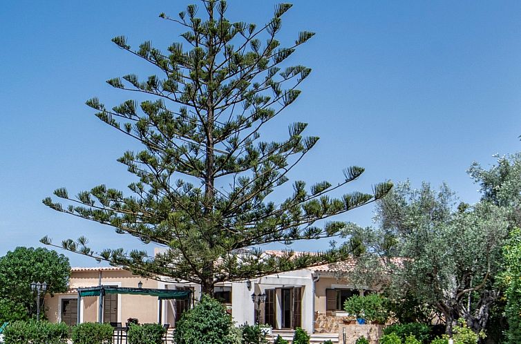 Vakantiehuis Schöne Villa in Cala Millor, Cala Bona