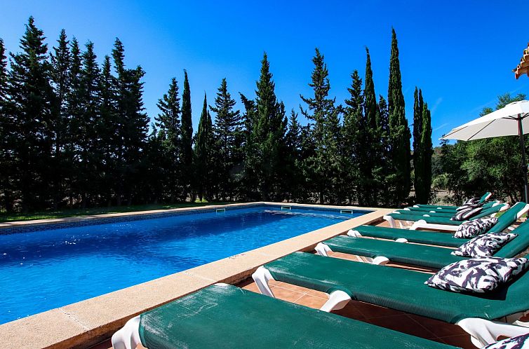 Vakantiehuis Schöne Villa für 8 Personen in der Nähe von 