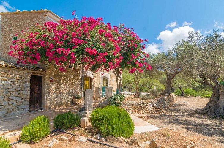 Vakantiehuis Can Tiona