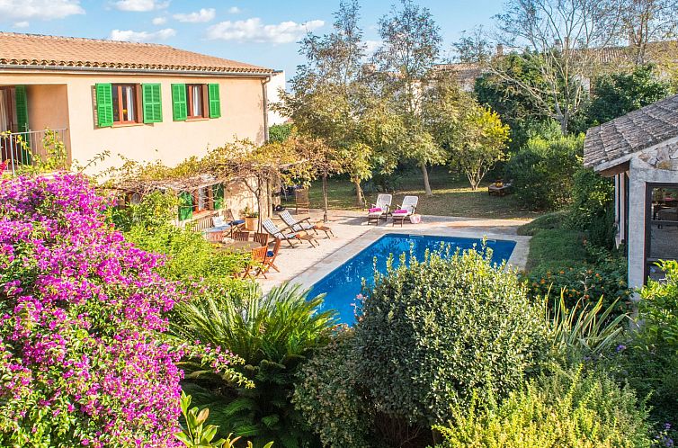 Unterkunft 1609905 - Ferienhaus Mallorca - Vakantiehuis Stadthaus für 12, mit Schwimmbad auf Mallorca