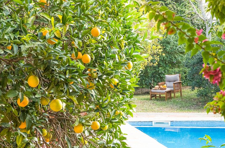 Vakantiehuis Stadthaus für 12, mit Schwimmbad auf Mallorca