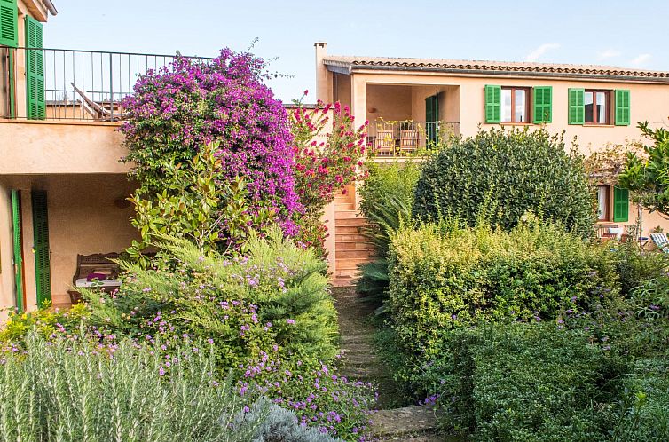 Vakantiehuis Stadthaus für 12, mit Schwimmbad auf Mallorca