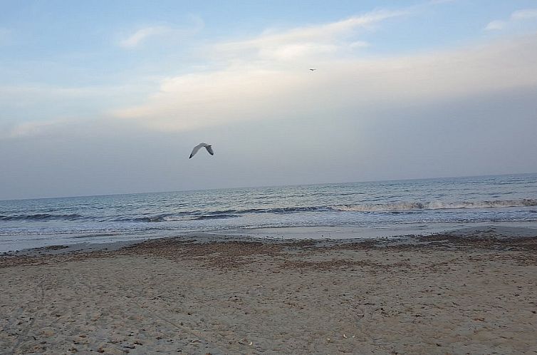 Vrijstaande woning in San Pedro del Pinatar