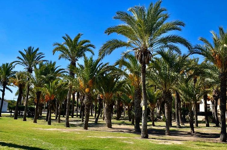 Appartement in Los Alcazares