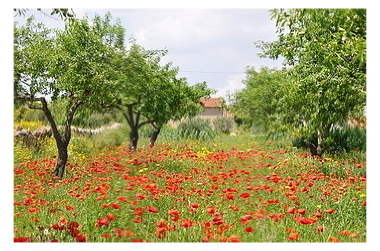 Vrijstaande woning in Alhama De Murcia