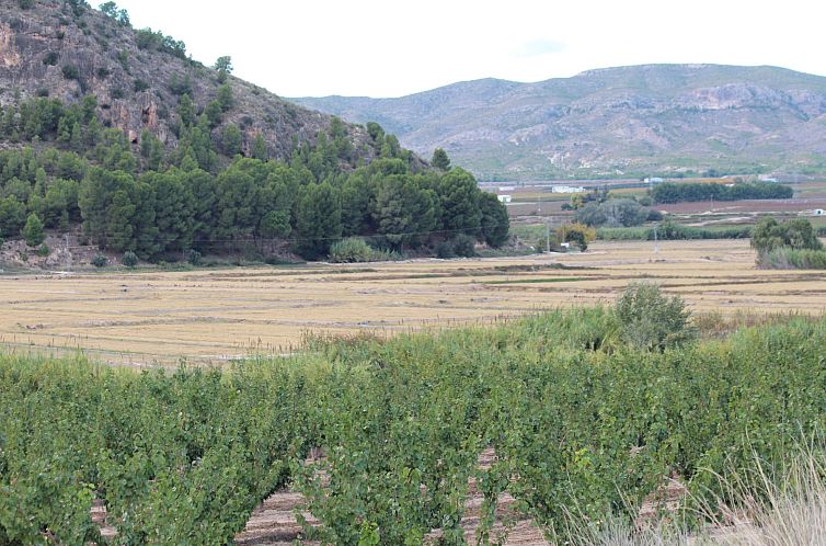 Vrijstaande woning in Calasparra