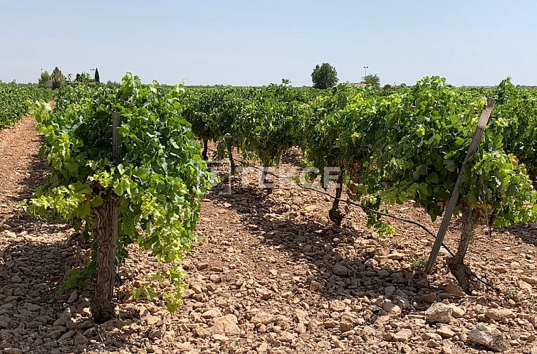 Vrijstaande woning in Yecla
