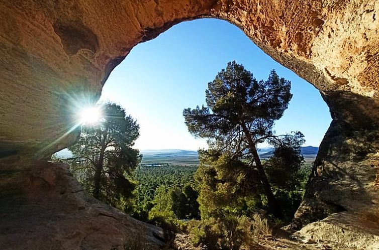 Vakantiehuis in Yecla