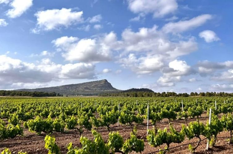 Vakantiehuis in Yecla