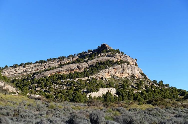 Vakantiehuis in Yecla