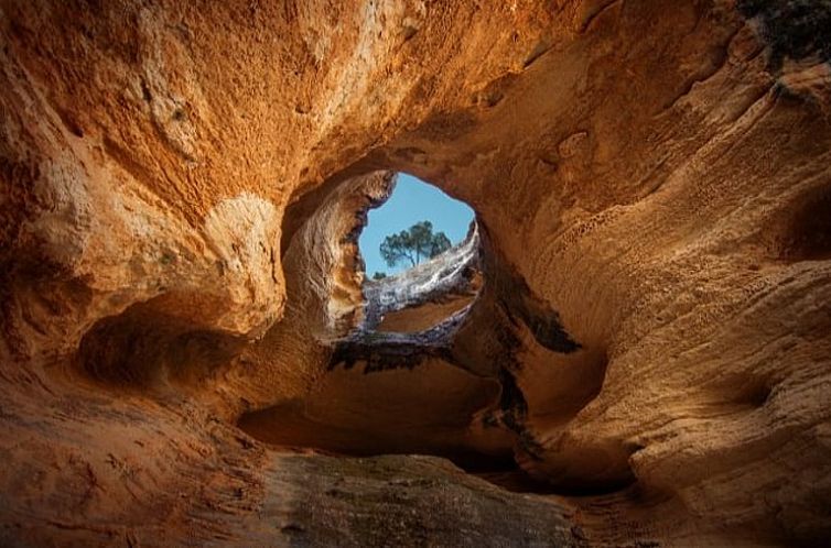 Vakantiehuis in Yecla