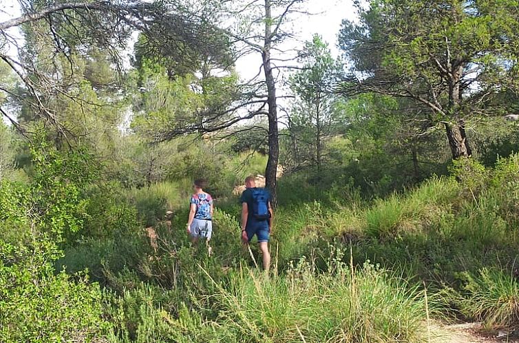 Vakantiehuis in Yecla