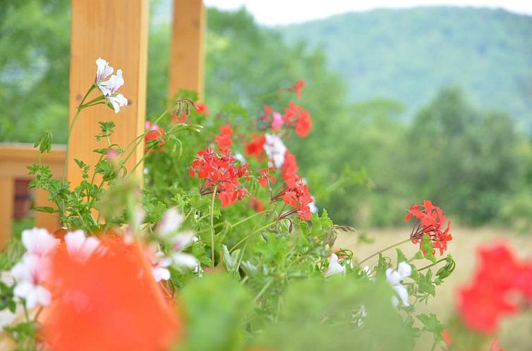 Pensiunea Poezii Alese