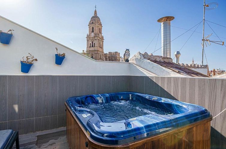 Apartamentos Gibralfaro Centro