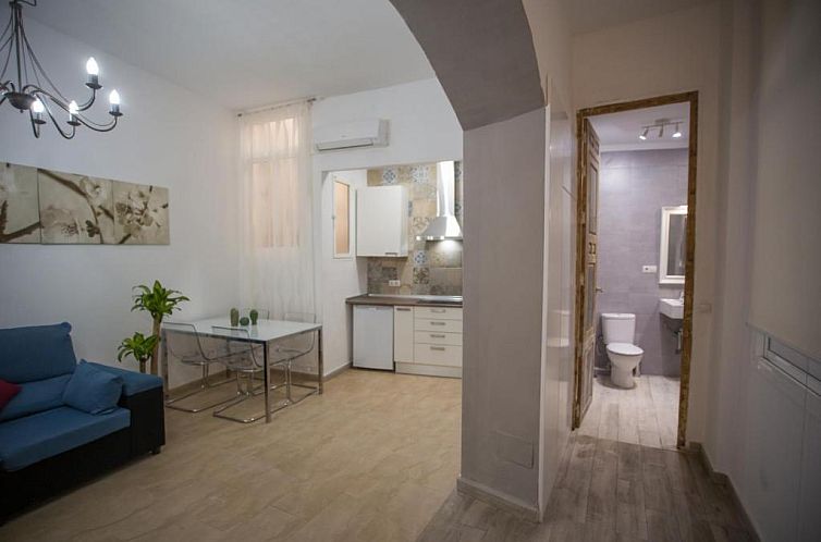 Apartamentos Catedral