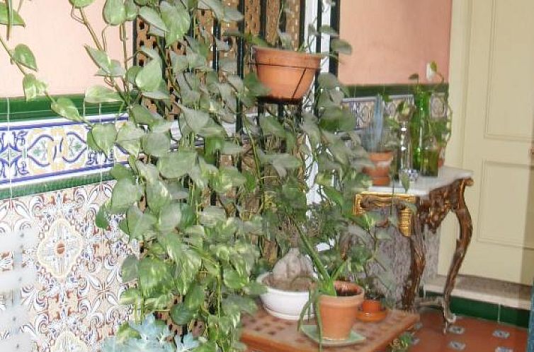 El Riad Andaluz