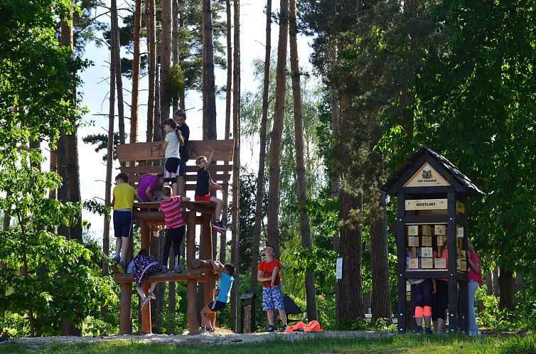 Vakantiehuis Treehouse 1