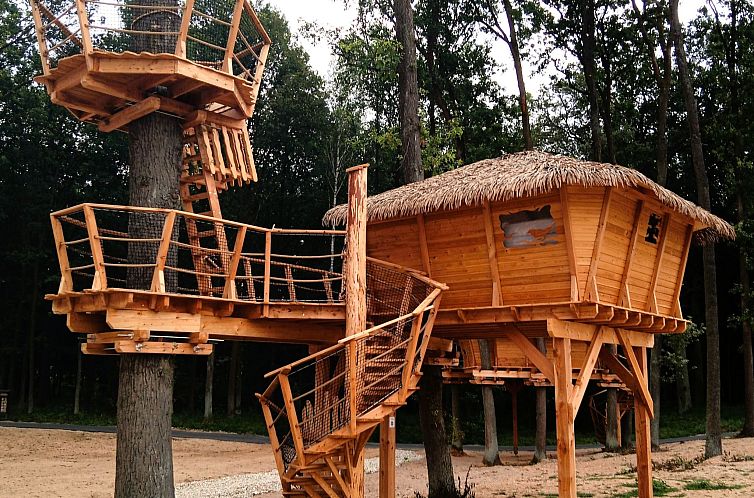 Guest house 16217427 - Holiday property Bohemia - Vakantiehuis Treehouse 2