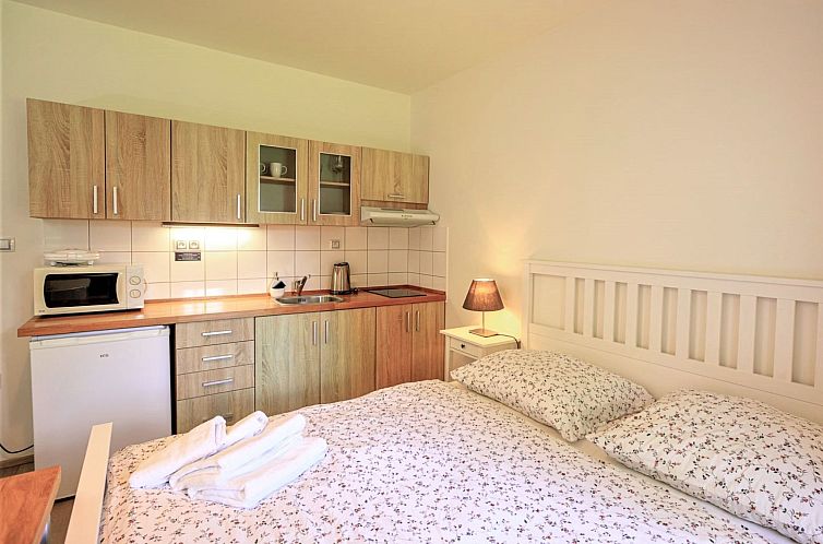 Appartement Arnoltice 3