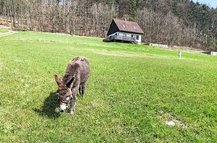 Vakantiehuis Stárkov