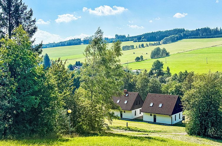 Vakantiehuis Stárkov