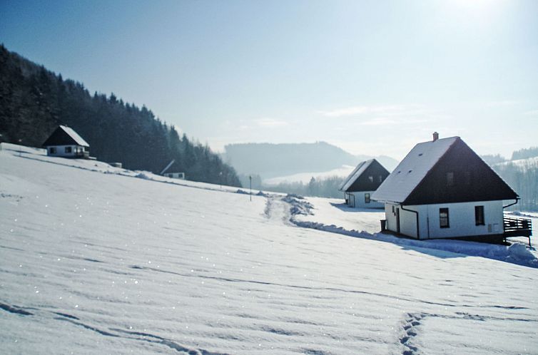 Vakantiehuis Stárkov