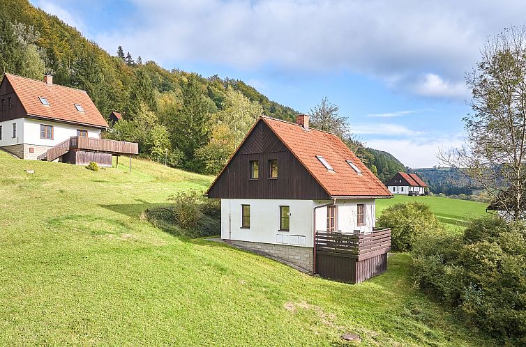 Vakantiehuis Stárkov
