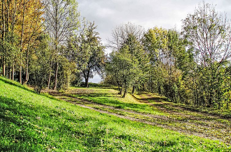 Vakantiehuis Green Valley Park Stárkov 16