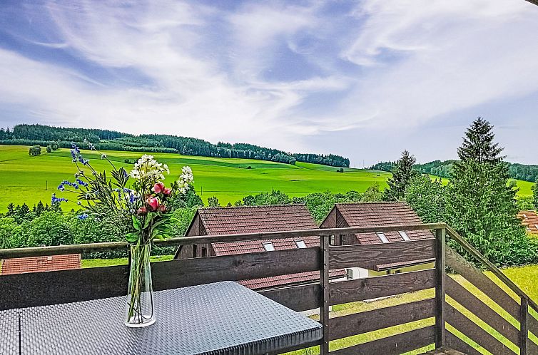 Vakantiehuis Green Valley Park Stárkov 16