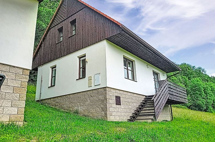 Vakantiehuis Green Valley Park Stárkov 16