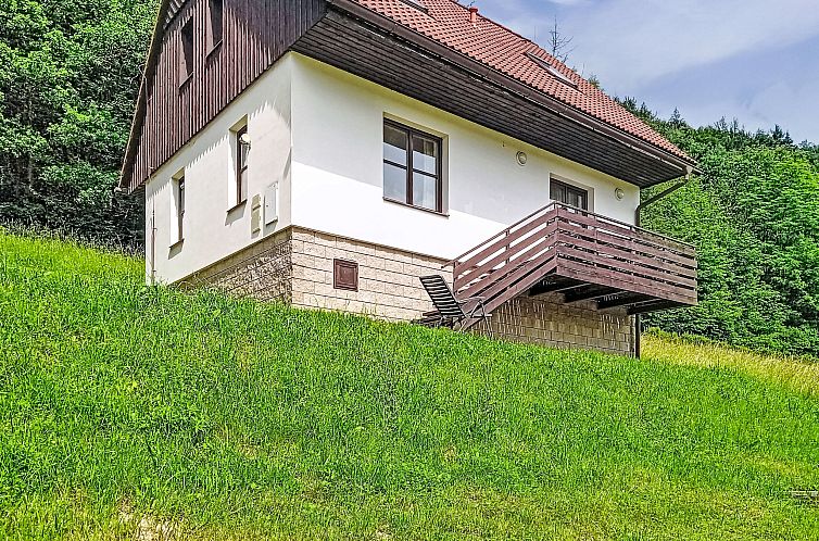 Vakantiehuis Green Valley Park Stárkov 16