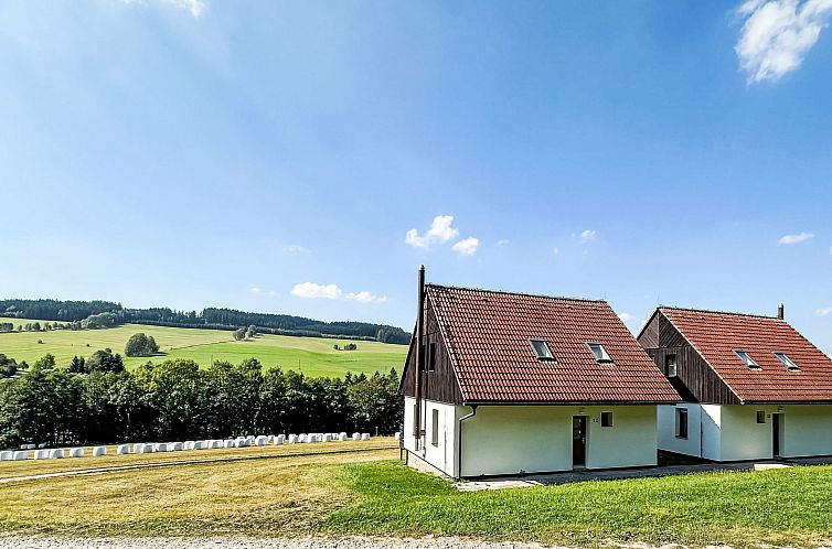 Vakantiehuis Stárkov