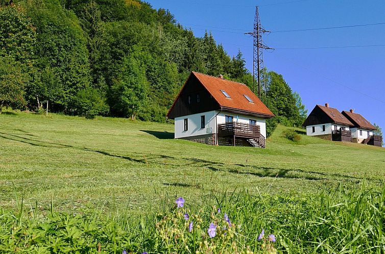 Vakantiehuis in  Green Valley Park 4