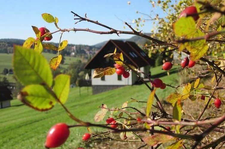 Vakantiehuis in  Green Valley Park 4