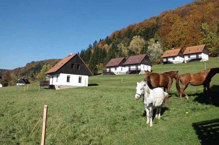 Vakantiehuis in  Green Valley Park 4