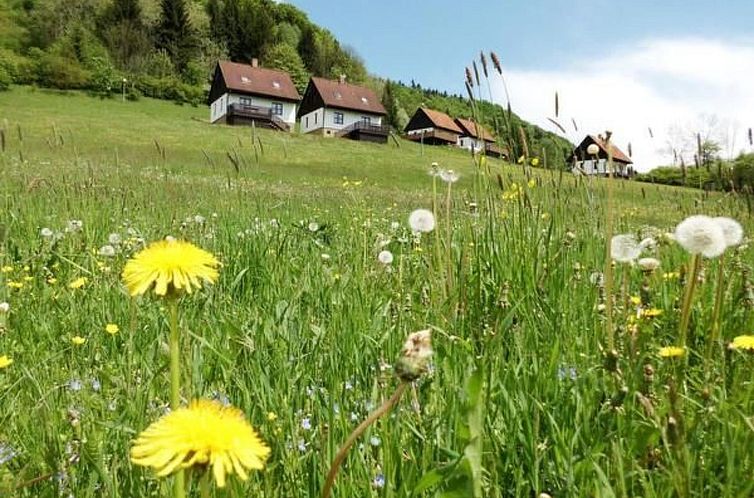 Vakantiehuis in  Green Valley Park 4