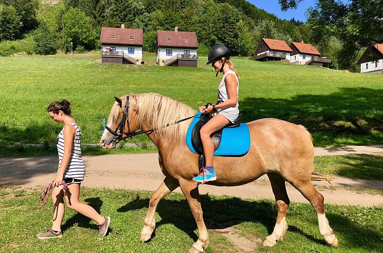 Vakantiehuis mit Terrasse