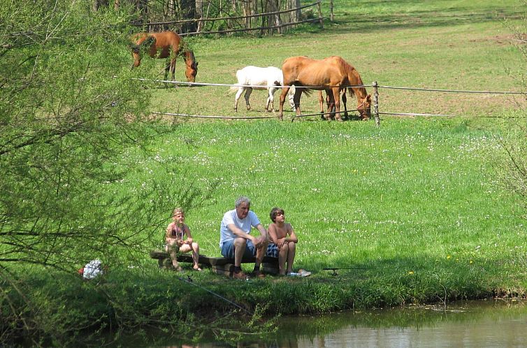 Vakantiehuis mit Terrasse