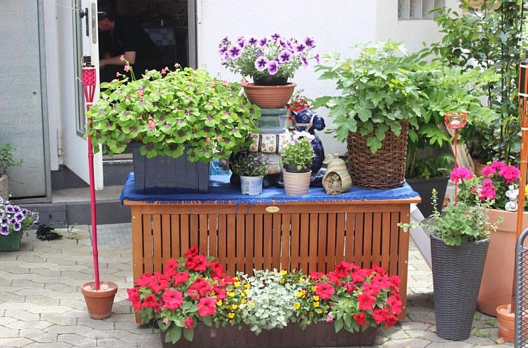 Restaurant / Pension Mainzer Tor