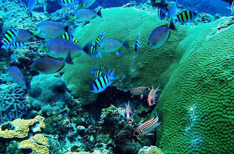 Phi Phi Relax Beach Resort