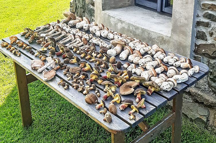 Vakantiehuis Ruprechtovský mlýn