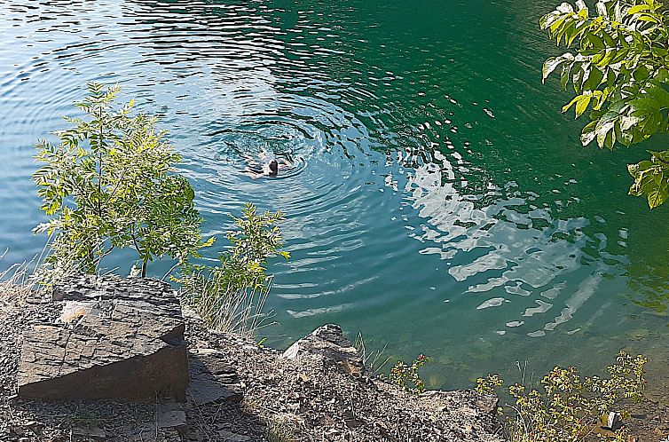 Vakantiehuis Ruprechtovský mlýn