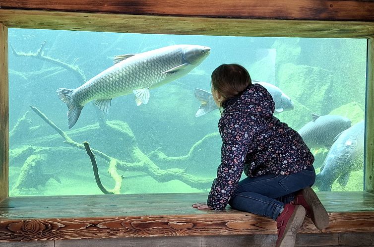 Vakantiehuis Ruprechtovský mlýn