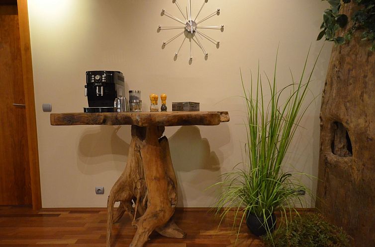 Appartement mit Terrasse