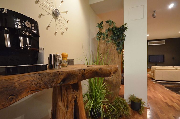 Appartement mit Terrasse