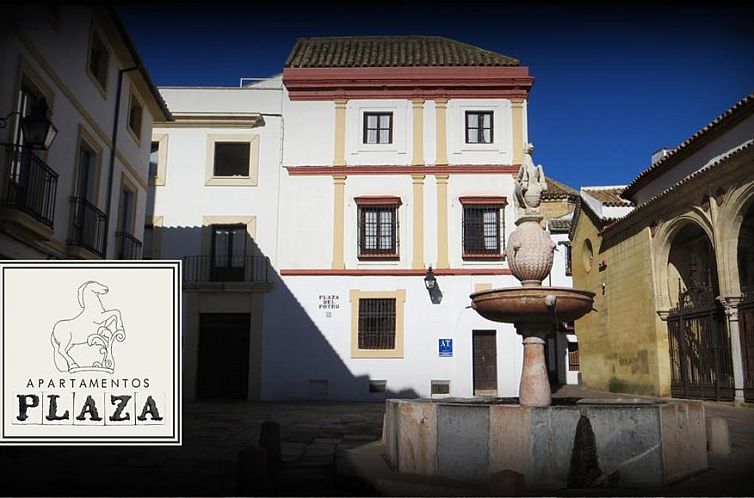 Apartamentos Plaza