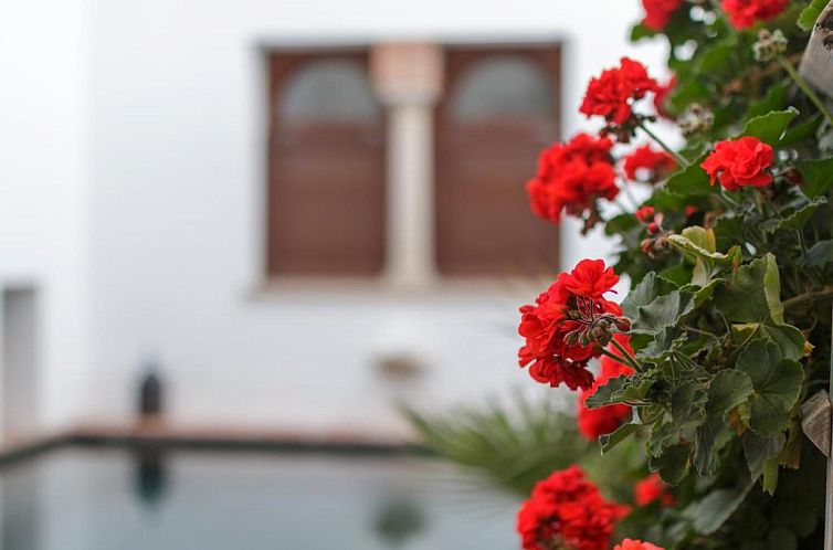 ApartaSuites Alberca Deluxe